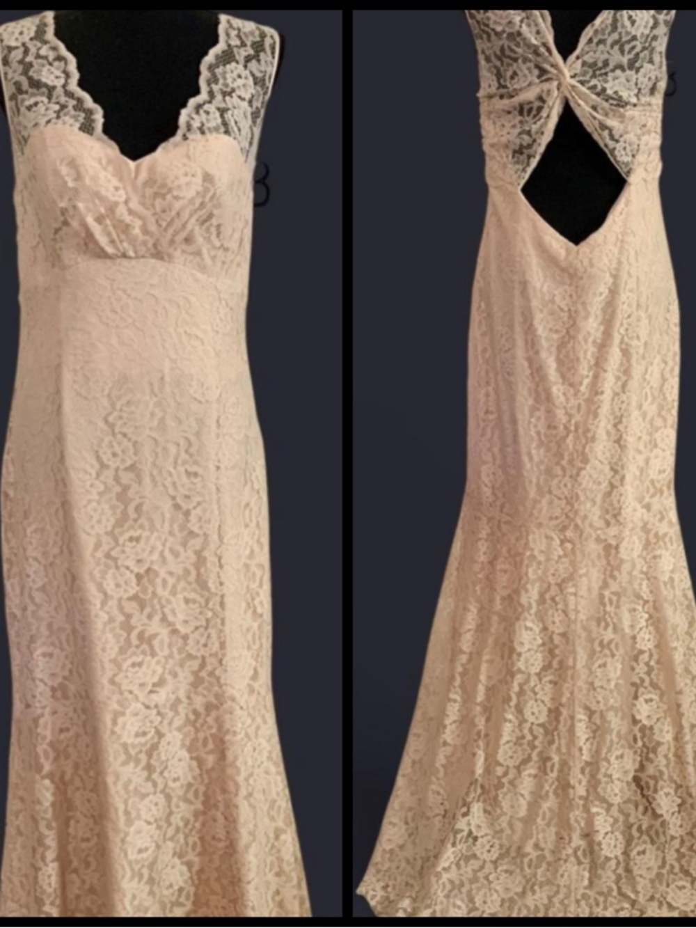 Amsale Lace Backless Gown in Fawn